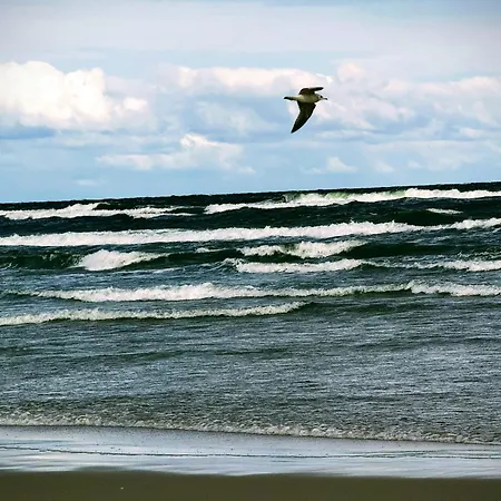 Milesnik- Caloroczny Holiday home Sztutowo