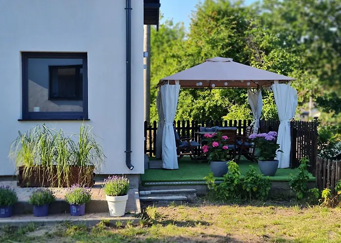 Mileśnik- Całoroczny