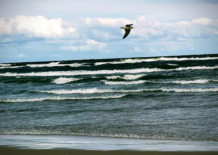 Mileśnik- Całoroczny Dom wakacyjny Sztutowo
